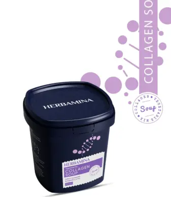 HERBAMINA Gemüsesuppe mit Kollagen